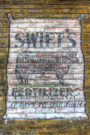 Framed Feed Sign 1 Print