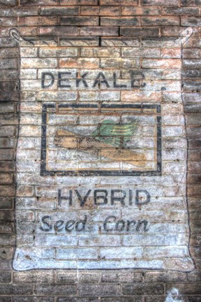 Framed Feed Sign 2 Print