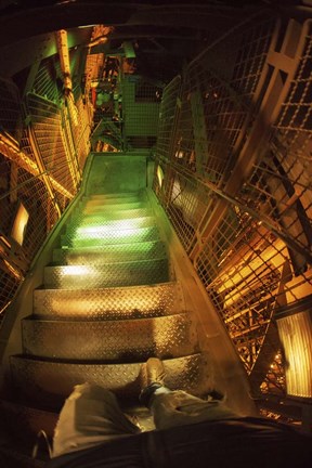 Framed Eiffel Stairs Print