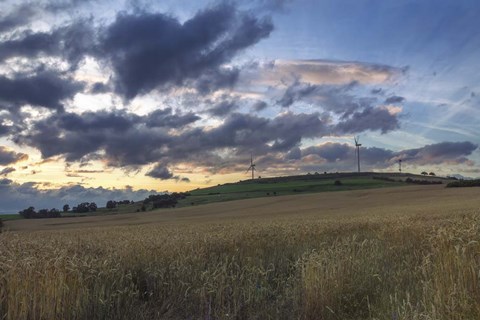 Framed Countryside Print
