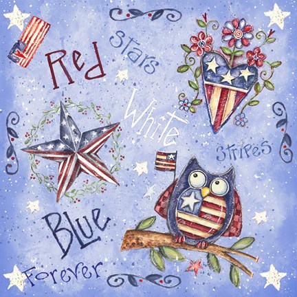 Framed Patriotic Pattern I Print