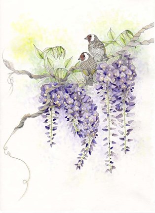 Framed Wisteria Print