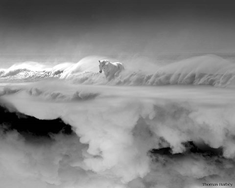 Framed Night... Mare Print