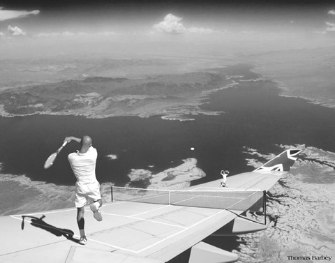 Framed Sun Stroke Print