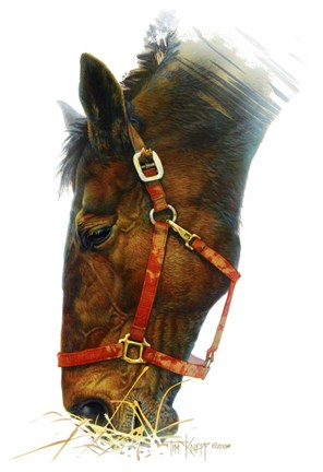 Framed Equestian Print