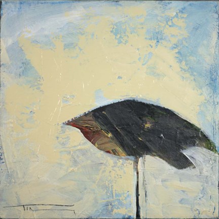 Framed Snowbird Print