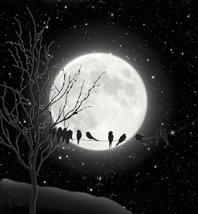 Framed Moon Bath I Print