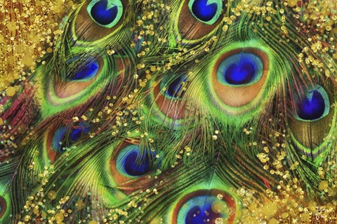 Framed Buried Treasure I Print