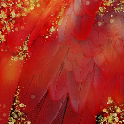 Framed Mid-Summer Magik Red Spice Print