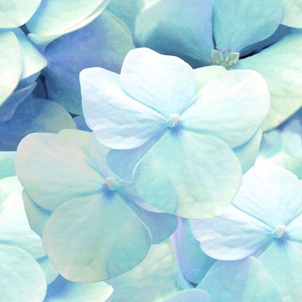 Framed Zen Pattern Print