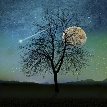 Framed Solitude Print