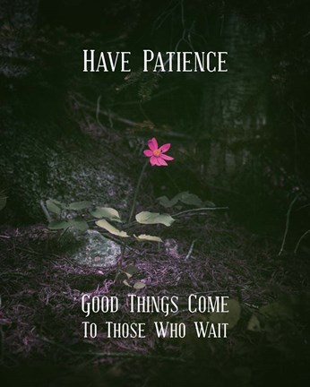 Framed Good Things Come To Those Who Wait Pink Flower Print