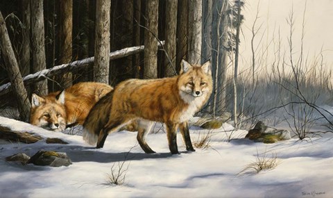 Framed Out from Cover Print