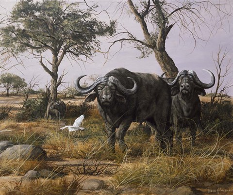 Framed Sudden Nerves Print