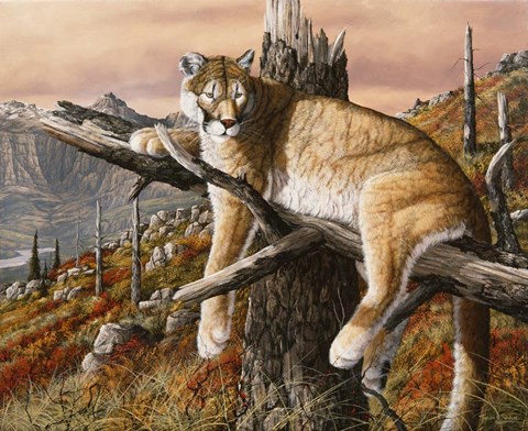 Framed Valley View Print