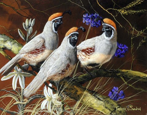 Framed Among Spring Blooms Print