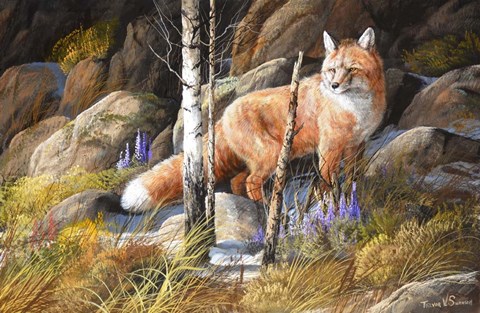 Framed Brief Glimpse Through Cover Print