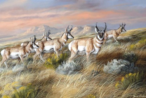 Framed Cool Evening Strollers Print