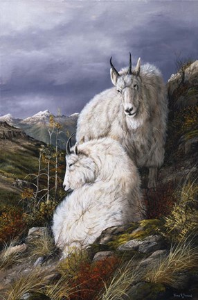 Framed Cliffside Partners Print