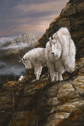 Framed Overlook Print