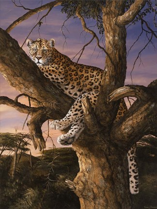 Framed Sunset Vantage Print