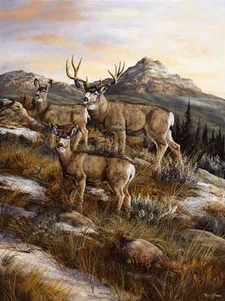 Framed Colorado Royalty Print