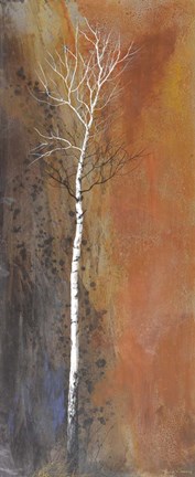 Framed Canyon Ward Print