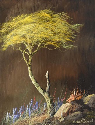 Framed Desert Riot Print