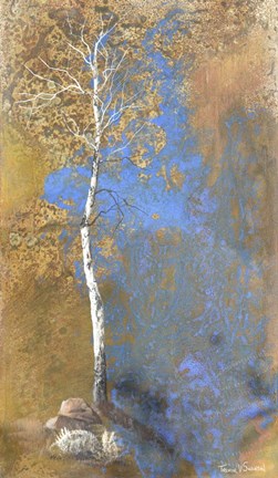 Framed Dusk Shadows Print