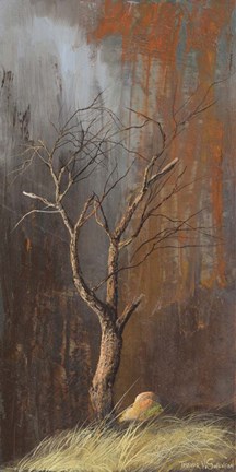 Framed Mesquite Guardian Print