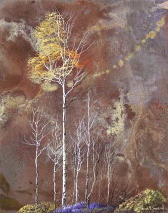 Framed Under Watchful Branches Print