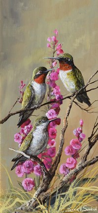 Framed Brief Pause Print