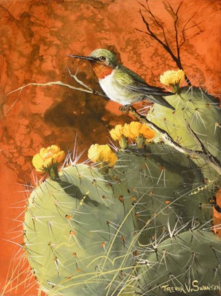 Framed Prickly Thorns Print