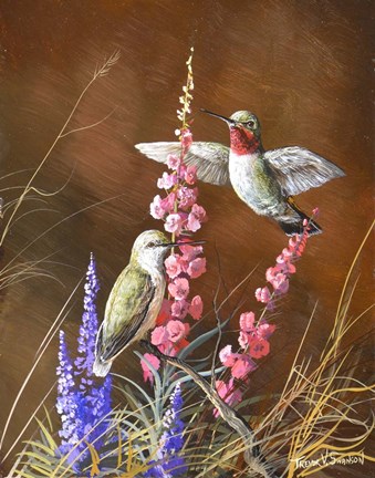 Framed Spring Visitors Print