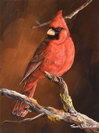 Framed Winter's Perch 1 Print