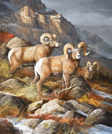 Framed In Stormy Light Print