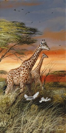 Framed On The Move Print