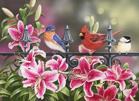 Framed Stargazers Print