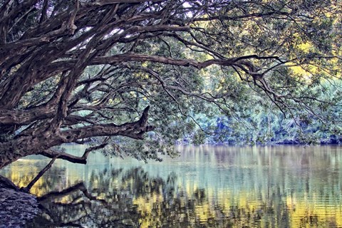 Framed Place To Dream Print