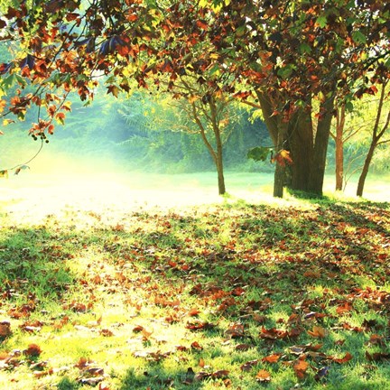 Framed Colourful Morning Print