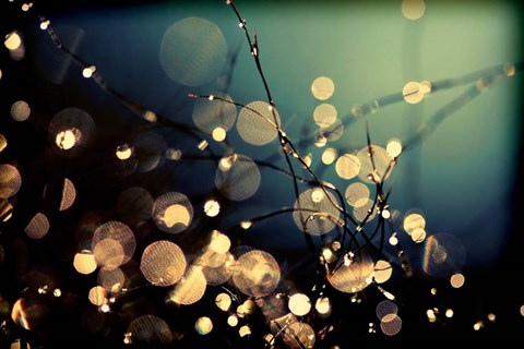 Framed Fairies In My Garden Print