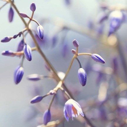 Framed How It Begins Print