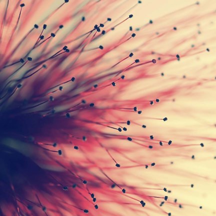 Framed Into The Future Print