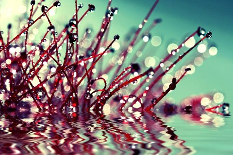 Framed One Sunday Morning Print