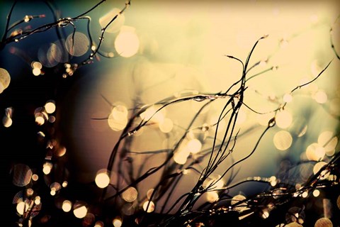 Framed Summer Nights Print