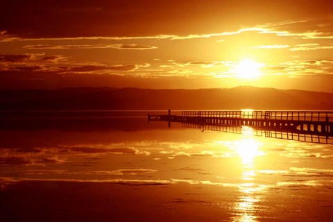 Framed Show Is On Print