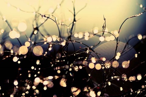 Framed When Fairies Dance Print