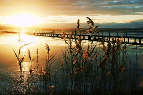 Framed Wish You Were Here Print