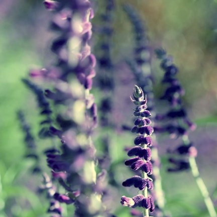 Framed Believe In Me Print