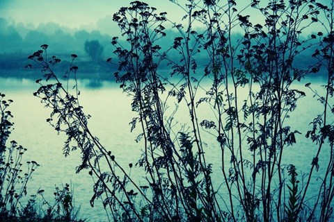 Framed Blues In The Morning Print